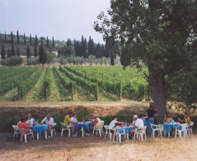 Pic nic a Sant'Antimo tra le vigne
